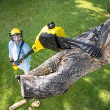 Best Artificial Turf Installation  in Sun City Center, FL