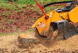 Best Seasonal Cleanup (Spring/Fall)  in Sun City Center, FL